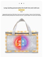 Panier de pique-nique pliable à motif à carreaux pour l'extérieur, avec film en aluminium, imperméable, portable, boîte isotherme 15L