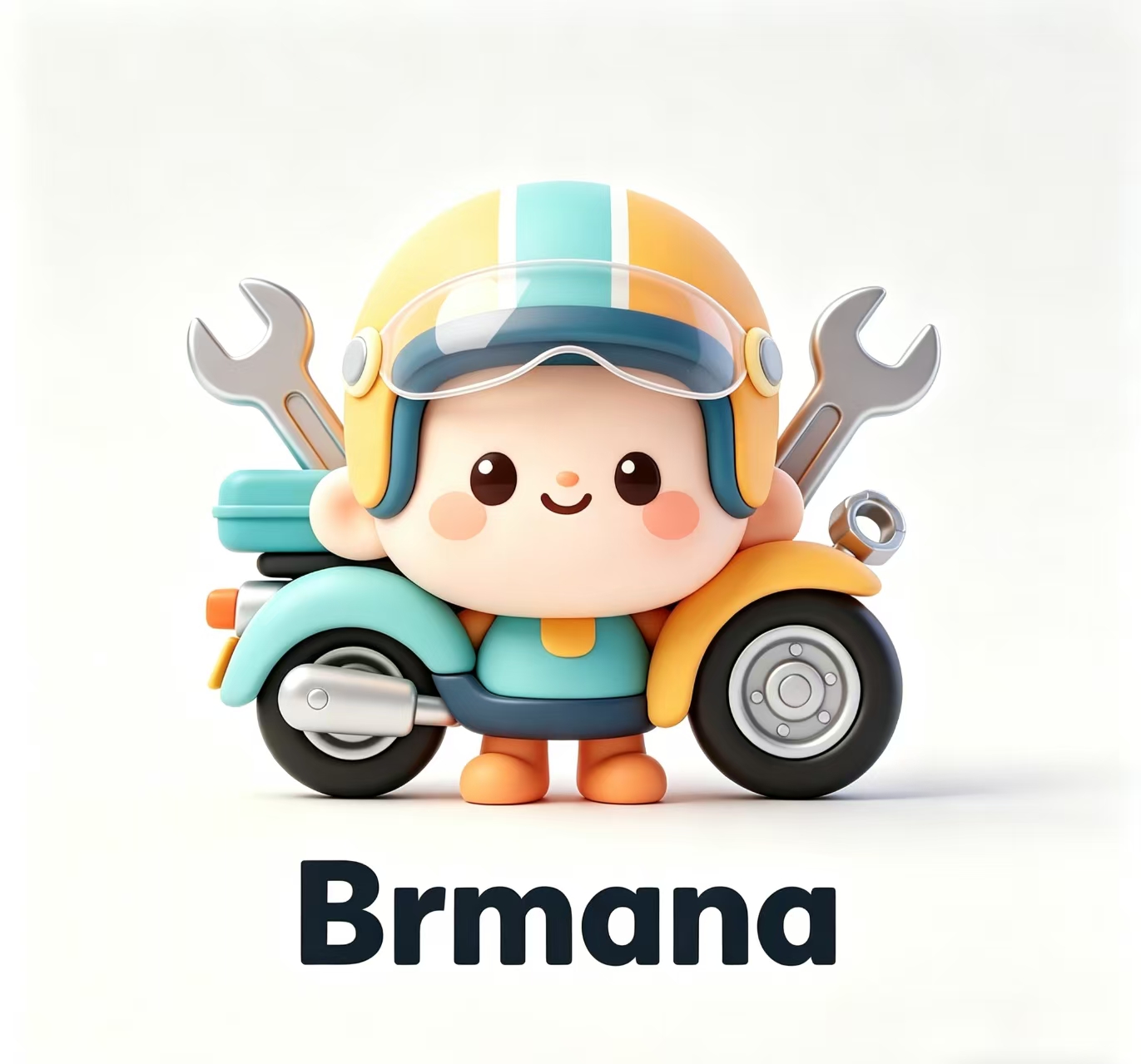 Wuxi Berrymana Technology Co., Ltd. logo