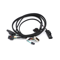 Arnés de Cables de Diagnóstico para ECU Automotriz con Conector DB25 D-Sub Hirschmann CAE para Sistema de Control de Programación de Vehículos
