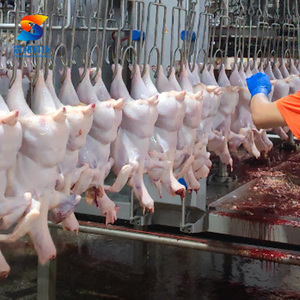 Línea de Sacrificio de Aves de Corral para 1000 Aves, Línea de Sacrificio de Pollos Pequeños - Product Image 6