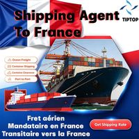 Agente de Transporte Marítimo, Francia, Lyon, Aeropuerto de Lyon-Saint Exupéry, Seguimiento de Envíos, Agente de Mensajería Express, Agente de Transporte de Carga