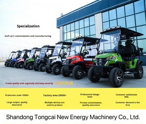 热销合法上路四人座低速电动车 48V 锂电池 25英里/小时 可折叠挡风玻璃低速电动车，适合小区通勤 - Product Image 6