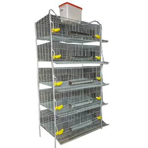 Cages à cailles automatiques <span class=keywords><strong>de</strong></span> 6 à 8 couches pour cage à cailles <span class=keywords><strong>de</strong></span> ferme - Product Image 6