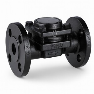 Trampa de Vapor Termostática de Presión Equilibrada Horizontal de Acero Forjado Serie TS80 BPC32 DIN 1.0509 - Product Image 3