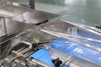 Automatische Horizontale Verse Groenten Fruit Verpakking Machine Leverancier