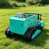 Tondeuse robot professionnelle sur chenilles 800 mm, moteur diesel 4 temps, télécommandée, pour l'agriculture, certifiée CE EPA