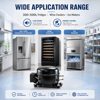 Compresor de Refrigeración de Alta Eficiencia FLD165NAMA FLD165NBMA R600a 0-220V para Refrigerador