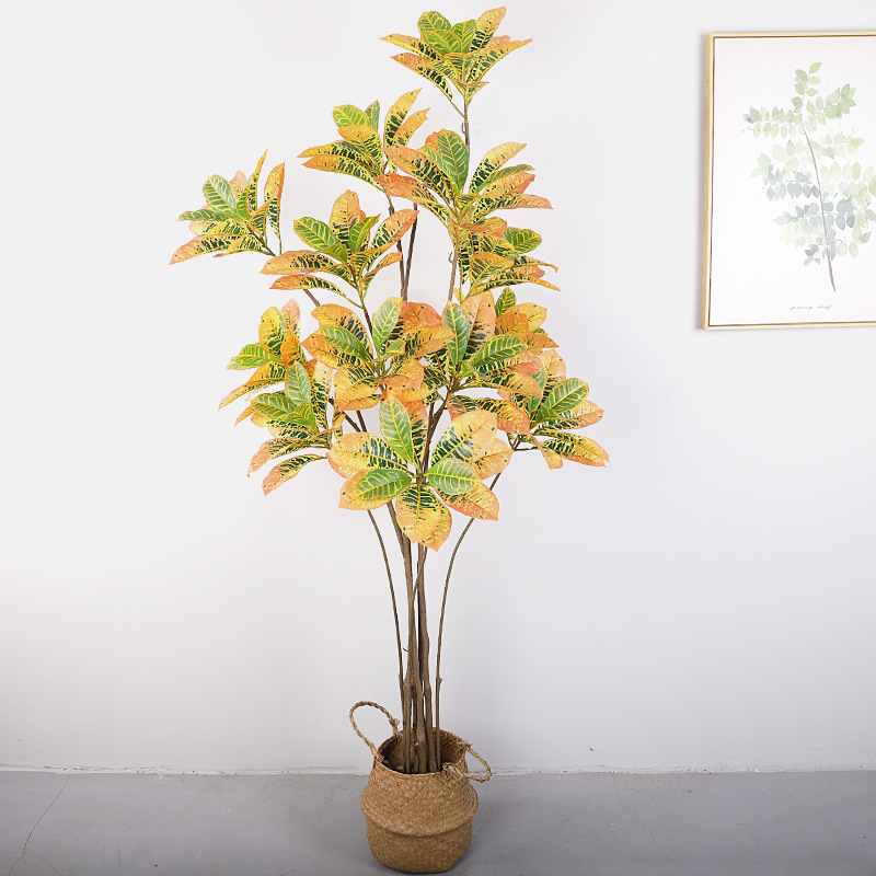 Banyan doré (jaune) de 1,85 mètre de haut, à 14 têtes et 8 troncs.