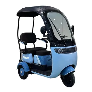 2024 New Fashionable Differential Brushless Motor Powerful Electric Passenger Tricycle Three Wheels for Adults