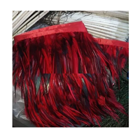 Plumes d'oiseaux longues et pointues teintes, artisanat fait main Soraj Enterprises, décorations créatives pour la maison et les fêtes de mariage, centres de table