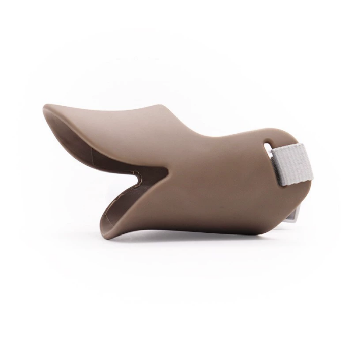 สีน้ำตาล