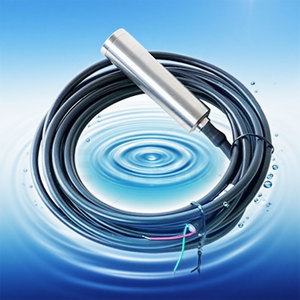 เซ็นเซอร์วัดระดับของเหลวแบบโยน4-20mA DC24V เซ็นเซอร์ระดับน้ำแบบโยนอินสำหรับตรวจจับระดับความลึก0-5ม. สายเคเบิลยาว<span class=keywords><strong>6</strong></span>เมตร - Product Image 1