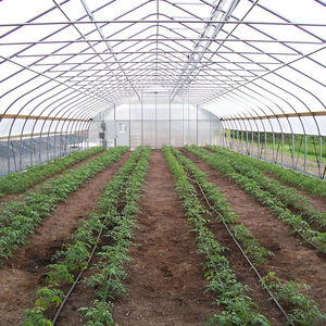 गर्म बिक्री कम लागत सुरंग तुर्की में हाइड्रोपोनिक ग्रीनहाउस - Product Image 6