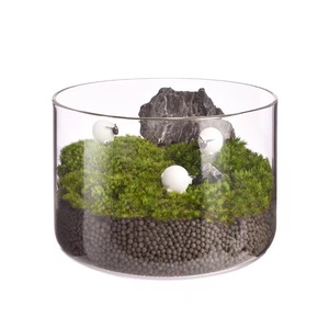 Mousse ronde Micro <span class=keywords><strong>paysage</strong></span> fini bonsaï plante verte fraîche bouteille écologique Vase en pot Vase à cylindre en verre de mariage - Product Image 6