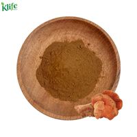 KLIFE Poudre d'extrait en vrac de Taiwanofungus Camphoratus, Ganoderma Camphoratum, Antrodia Camphorata