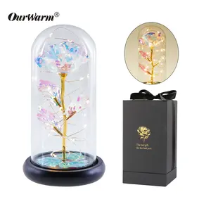 OurWarm Flower Gift regalo dia de la madre 24K Foil Led Galaxy Rose In Glass Dome