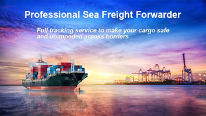 Transport maritime rapide vers <span class=keywords><strong>la</strong></span> France Transitaire professionnel Services logistiques de haute qualité Agent maritime vers <span class=keywords><strong>la</strong></span> France Agent maritime - Product Image 3