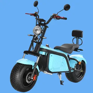 2023 New Electric Scooters Good Price Street 2000W 3000W Racing Motor Off Road Bike Electric Motorcycle For Adults Citycoco