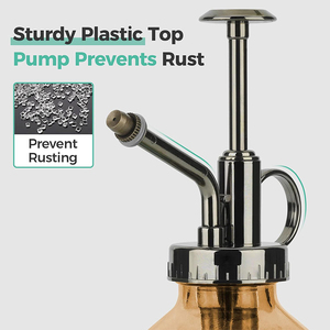 Glass <strong>Plant</strong> <strong>Mister</strong> 200ML Vintage Spray Bottle with Top Pump Fine Mist Garden Flower Sprayer Small Decorative Watering Can - Product Image 2
