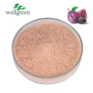 Wellgreen-Polvo de ciruela ahumado Natural, concentrador de fruta, polvo de ciruela ahumada - Product Image 2
