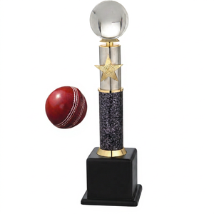 Trofeo metálico moderno con un diseño atractivo, acabado premium y brillo duradero para presentaciones de premios memorables en cricket. - Product Image 1