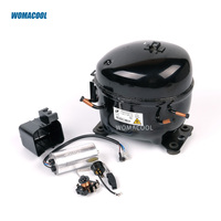 Compresseur hermétique R290 220-240V/50-60Hz KK650DU1S 1/2hp pour équipement de réfrigération commerciale