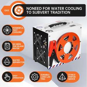 Compresseur d'air PCP pratique à double cylindre haute pression 4500psi/300bar 12V batterie de voiture arrêt automatique chasse pour réservoir d'essence - Product Image 5