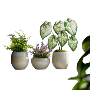 Mini Plantas Artificiales en Maceta, Eucalipto, Caladium, Lavanda, Bonsái, Adorno Verde en Maceta para Decoración del Hogar, Escritorio, Oficina, Mesa - Product Image 1