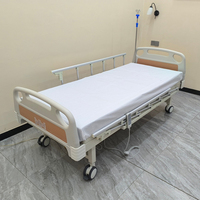 Lit médical électrique 2 fonctions pour patient, avec tête et pied de lit moulés par soufflage en PP, barrières en alliage d'aluminium, freins TPR et roulettes.