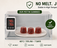 Gummies Complexe de Champignons 10-en-1 Marque Blanche, Supplément Végétalien OEM à Base de Mélange de Champignons pour le Bien-être Immunitaire et la Résilience Systémique