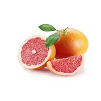 Натуральный Порошок Сока Грейпфрута, высококачественный порошок экстракта Красного грейпфрута