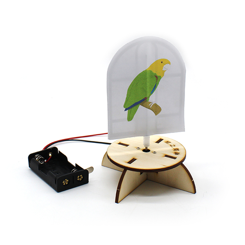 8957 El pájaro está en la jaula