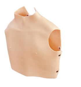 Maniquí de RCP Portátil <span class=keywords><strong>para</strong></span> Práctica de Auscultación - Product Image 2