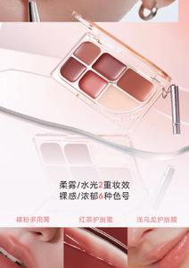 Lápiz Labial Mate Personalizado Impermeable Color Nude, Etiqueta Privada, Lápiz Labial, Rubor, Paleta de Rubores - Product Image 4