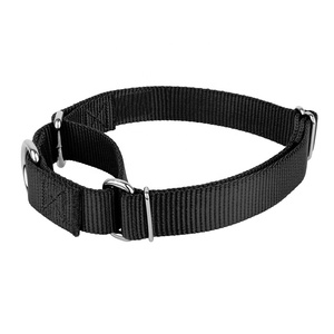 Pet eğitim malzemeleri Heavyduty naylon evcil hayvan tasmaları Martingale köpek tasması - Product Image 4