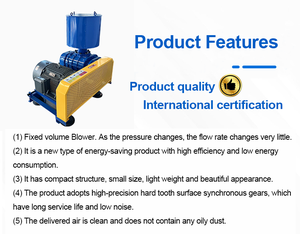 Soffiatore Roots a 3 Lobi ad Alta Pressione Elettrico con Pale in Ghisa per il Trattamento delle Acque Reflue - Product Image 4