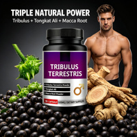 Complément Alimentaire Énergétique pour Adultes OEM, Extrait Herbal 500mg, Faible Teneur en Sucre, Capsules Naturelles de Tribulus Terrestris et de Racine de Maca en Poudre pour