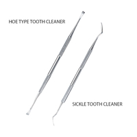 Outils dentaires Outils professionnels de nettoyage des dents Kit de soins bucco-dentaires Ensemble de kit d'hygiène dentaire en acier inoxydable