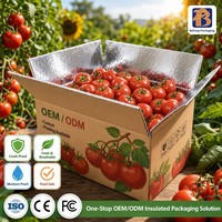 Boîte en carton d'expédition à isolation thermique kraft recyclée pour l'emballage d'aliments surgelés plats frais préparés axés sur la protection de l'environnement