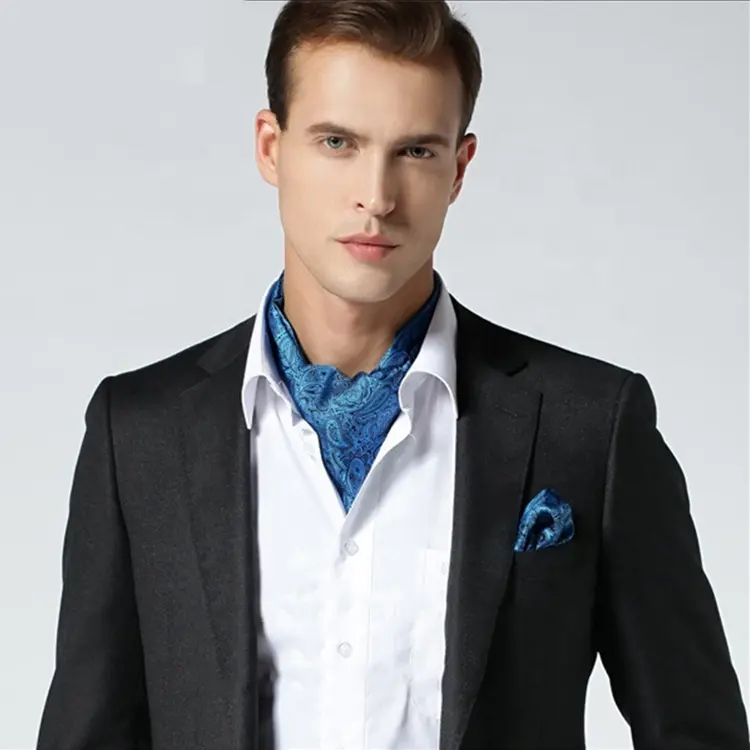 Cravate Paisley en soie pour hommes, accessoire de mode de haute qualité, imprimé écran
