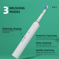 Brosse à dents électrique rotative IPx7 étanche Brosse à dents électrique portable rechargeable avec capteur de pression pour ad