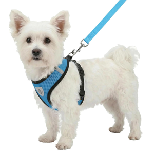 Custom Adjustable Training Soft Breathable Mesh Dog Harness Vest Nylon Traction Outdoor Walking Cat Dog Harness Set - Product Image 1