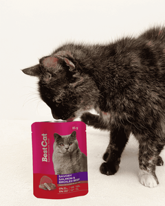 ซองรีทอร์ทสำหรับ<span class=keywords><strong>อาหาร</strong></span>แมว 85 กรัม - รส<span class=keywords><strong>ไก่</strong></span>และปลาค็อด บรรจุภัณฑ์<span class=keywords><strong>อาหาร</strong></span>เปียกสำหรับสัตว์เลี้ยง ปลอดภัยสำหรับการฆ่าเชื้อด้วยความร้อน - Product Image 2