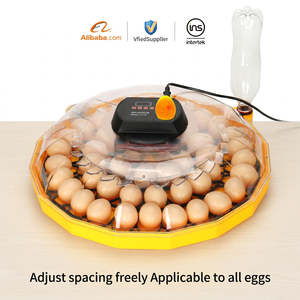 Nouvel incubateur automatique <span class=keywords><strong>Janoel</strong></span> 48 pour œufs de poule, contrôle numérique de la température, équipement d'éclosion de volailles, taux d'éclosion de 95 % - Product Image 1