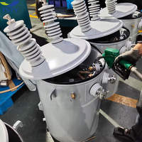 Transformadores monofásicos TSTY 25 Kva 50kva 75kva Transformador elevador montado en poste