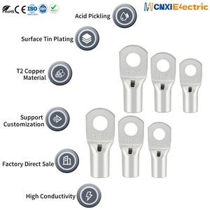 Cnxi t Series Ô tô sử dụng pin điện Power <span class=keywords><strong>Ring</strong></span> thiết bị đầu cuối đóng hộp <span class=keywords><strong>1</strong></span>/<span class=keywords><strong>0</strong></span> T2 Đồng Lugs uốn cáp nhanh chóng Hệ thống dây điện kết nối - Product Image 1