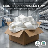 Filament de polyester 100% modifié, cationique, teignable, CDP, blanc brut, vierge, qualité AA, résistant à l'abrasion, pour le filage