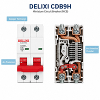 DELIXI CDB9 MCB Mini Circuit Breaker 1P 2P D Curve 25A 6kA DIN Rail Mounting CE Certified Factory Ready Stock