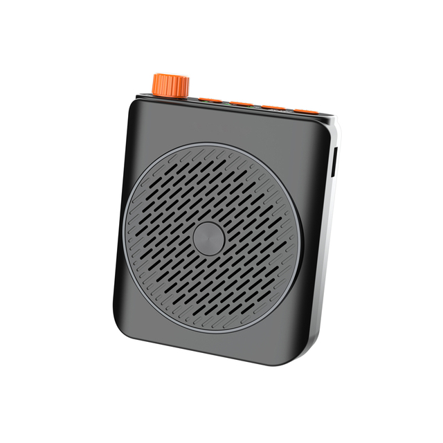 2025 Hot Multiple Functional Audio Amplifier Portable Mini Size Sound Equipment Amplifiers Speaker for Teachers with 2 Mic