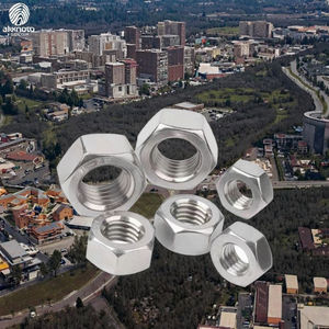 Tuercas Hexagonales Planas Delgadas de Acero Inoxidable de Alta Calidad M6 M8 M10 M12 M14 M16 M20 con Acabado Zincado - Product Image 2